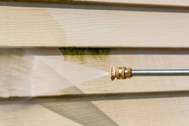 Best Local Pressure Washing Services  in Whitehall, OH